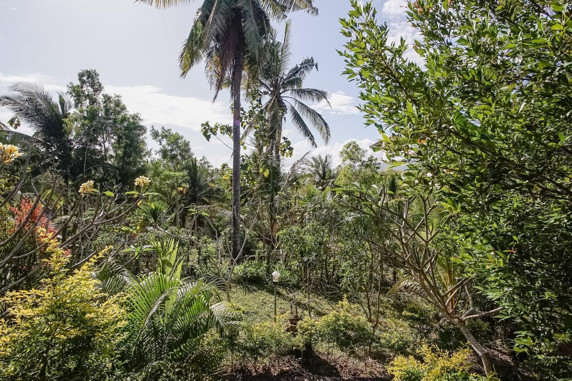 Penida Lapaya Bungalows Nusa Penida Sakti Exterior foto